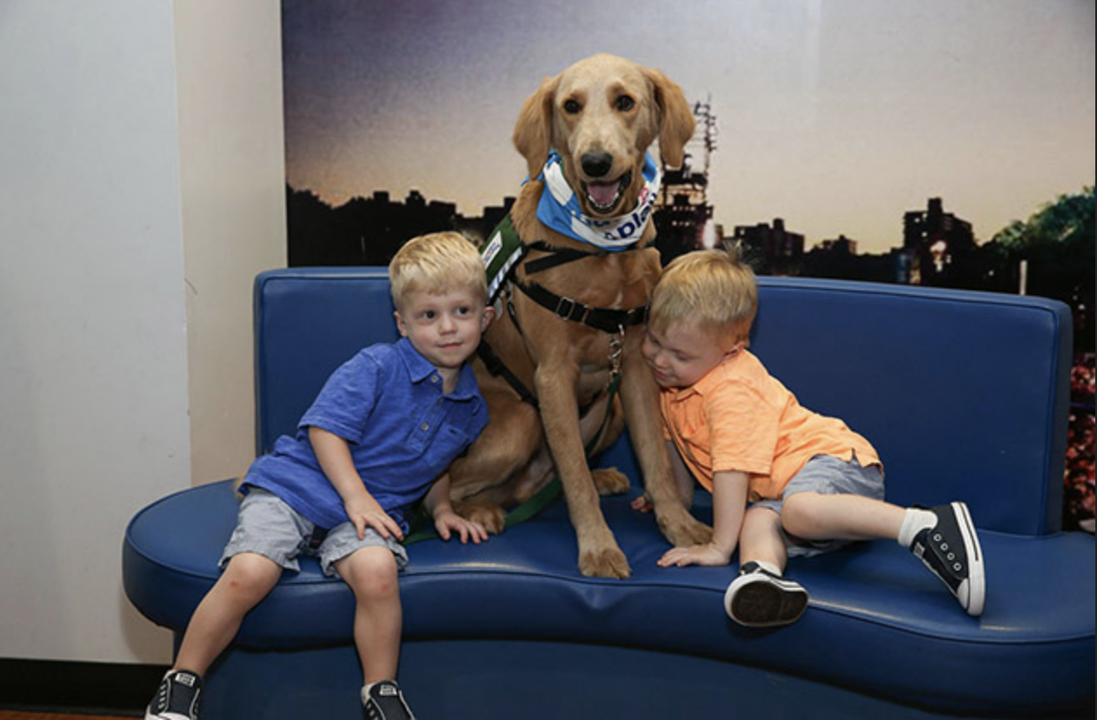 Mount Sinai Hospital, Medical Center, Kravis Childrens Hospital and so much more